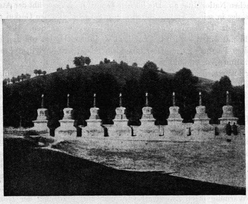 Photograph of eight whitewashed stupas standing in a row below a wooded hill